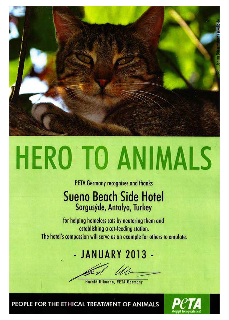 Sueno Hotels