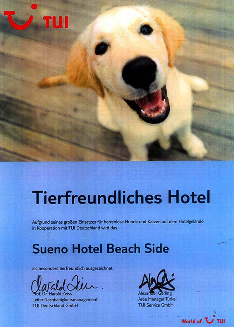 Sueno Hotels